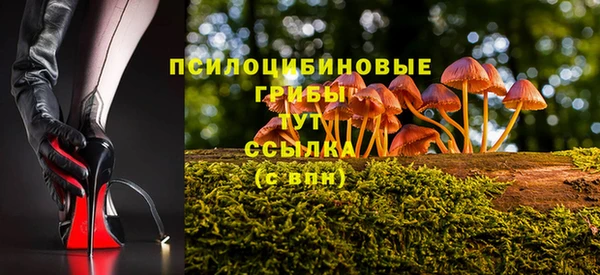 ALPHA PVP Алексеевка