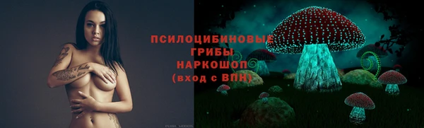 молекула духа Пестово