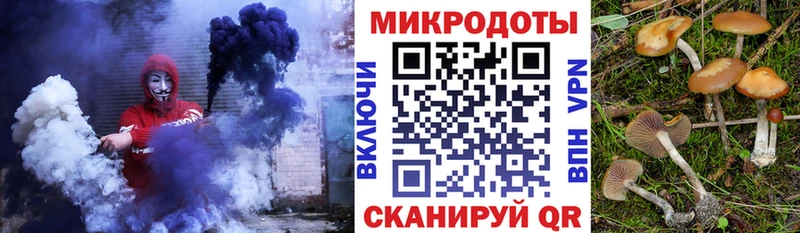 купить   Лесосибирск  Псилоцибиновые грибы Psilocybe 