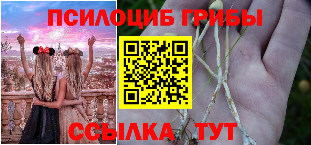 Галлюциногенные грибы мухоморы  Вход с VPN  Лесосибирск 