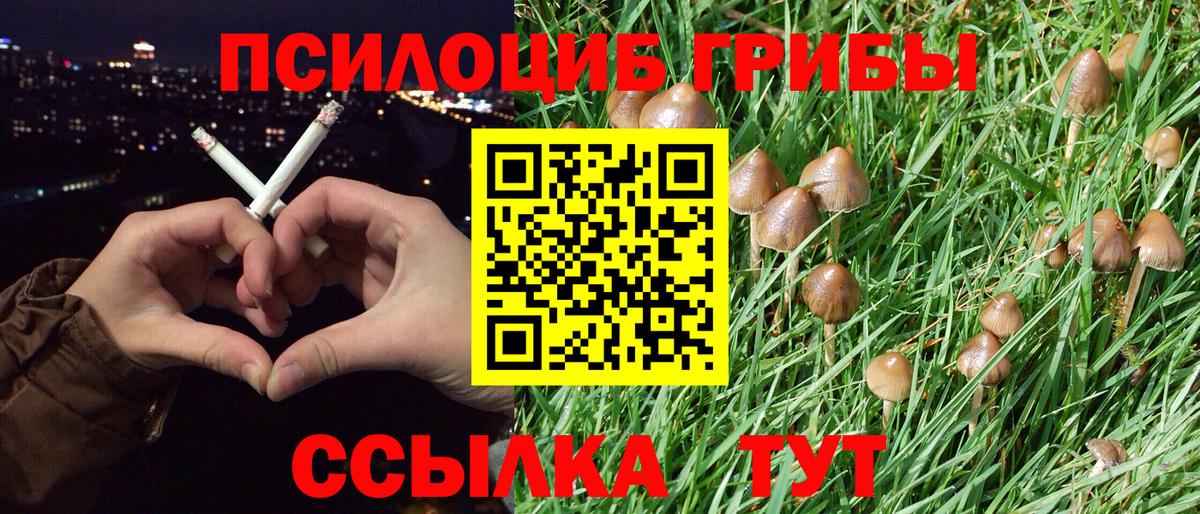 Псилоцибиновые грибы мухоморы Лесосибирск